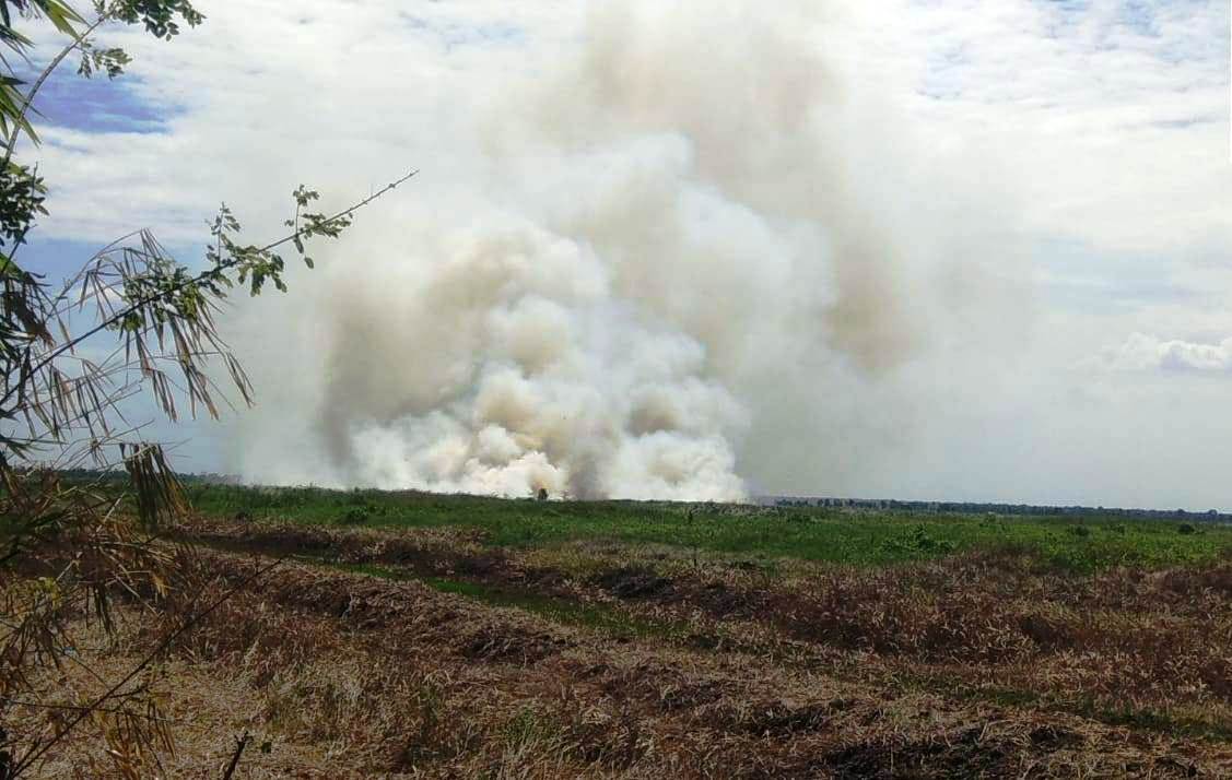 Sebanyak 6,3 Hektar Lahan Terbakar di Kalimantan Selatan